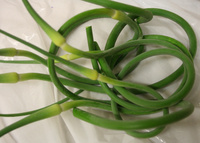 Garlic Scapes (LOCAL)